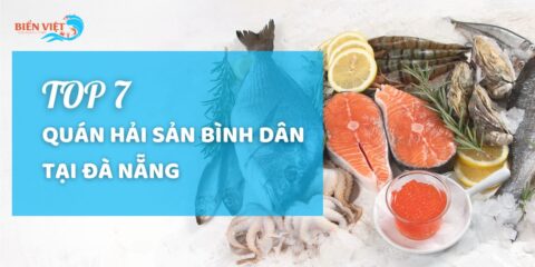 hai-san-binh-dan-da-nang